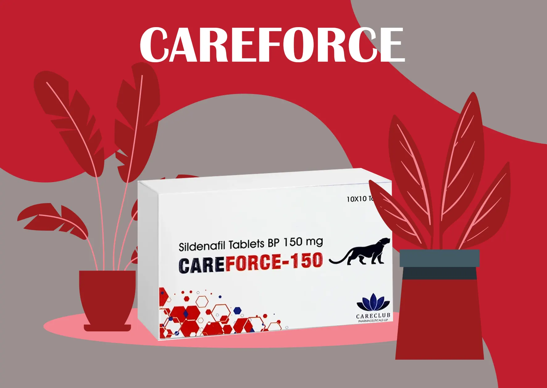 Careforce: A Beginner’s Guide